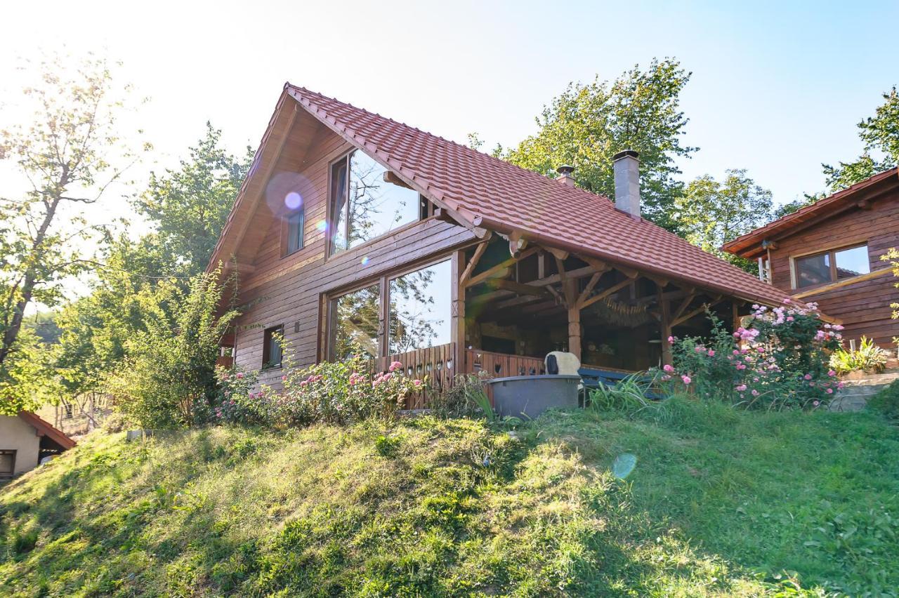 Bed and Breakfast Rose Hip Hill Farm Valea Tirnei Esterno foto