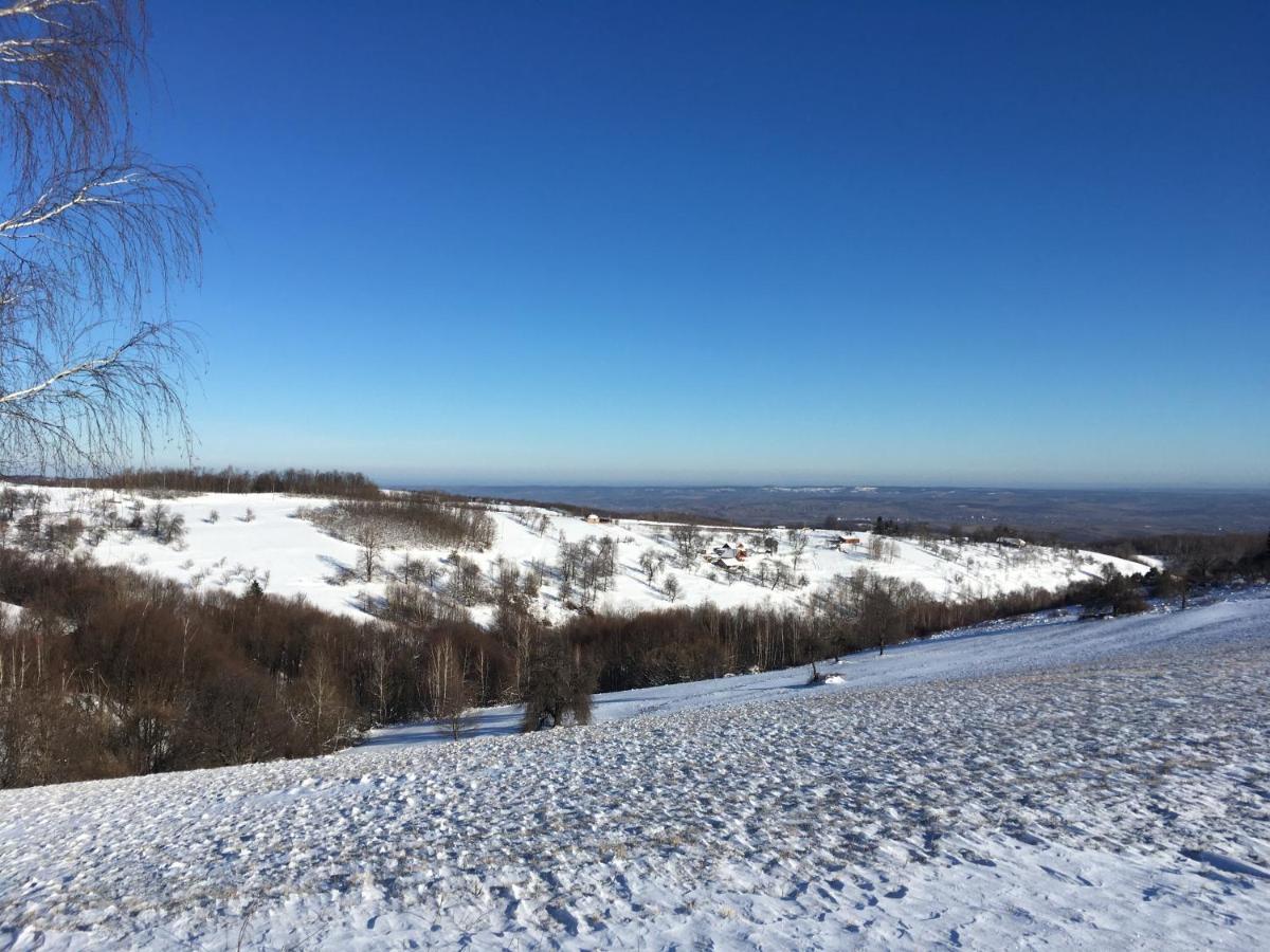 Bed and Breakfast Rose Hip Hill Farm Valea Tirnei Esterno foto