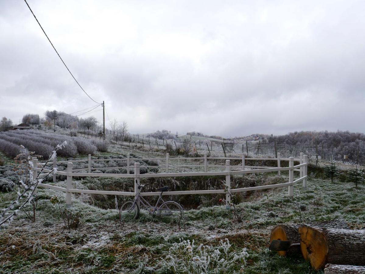Bed and Breakfast Rose Hip Hill Farm Valea Tirnei Esterno foto