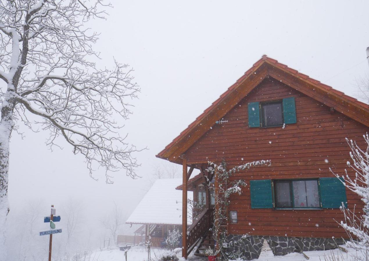 Bed and Breakfast Rose Hip Hill Farm Valea Tirnei Esterno foto