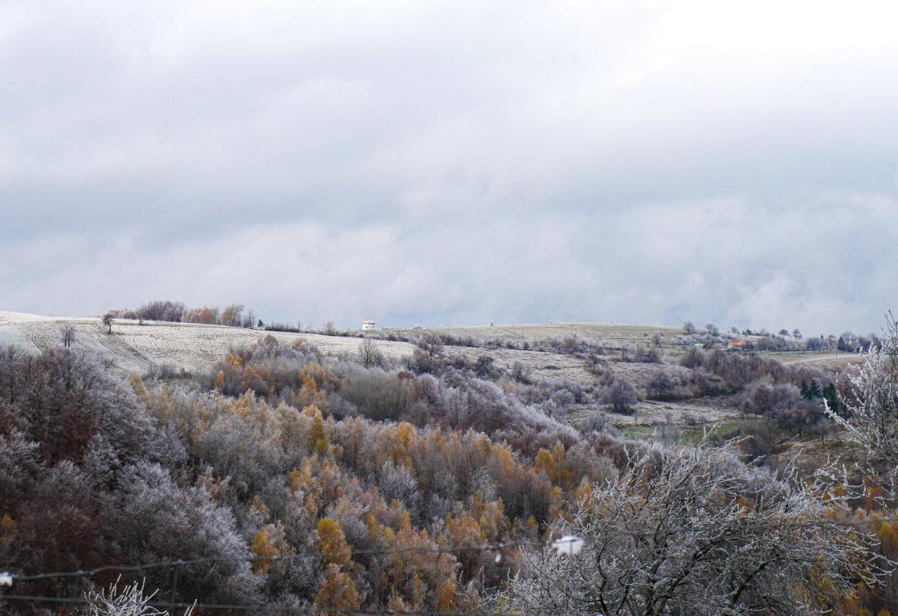 Bed and Breakfast Rose Hip Hill Farm Valea Tirnei Esterno foto